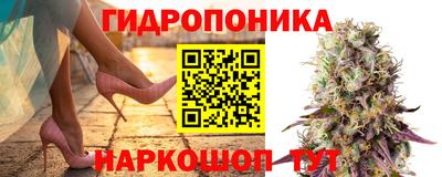 ПСИЛОЦИБИНОВЫЕ ГРИБЫ Среднеуральск