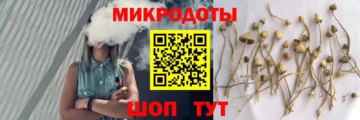 Новый Уренгой  Псилоцибиновые грибы Psilocybine cubensis  Вход с VPN 